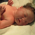 Photograph of newborn