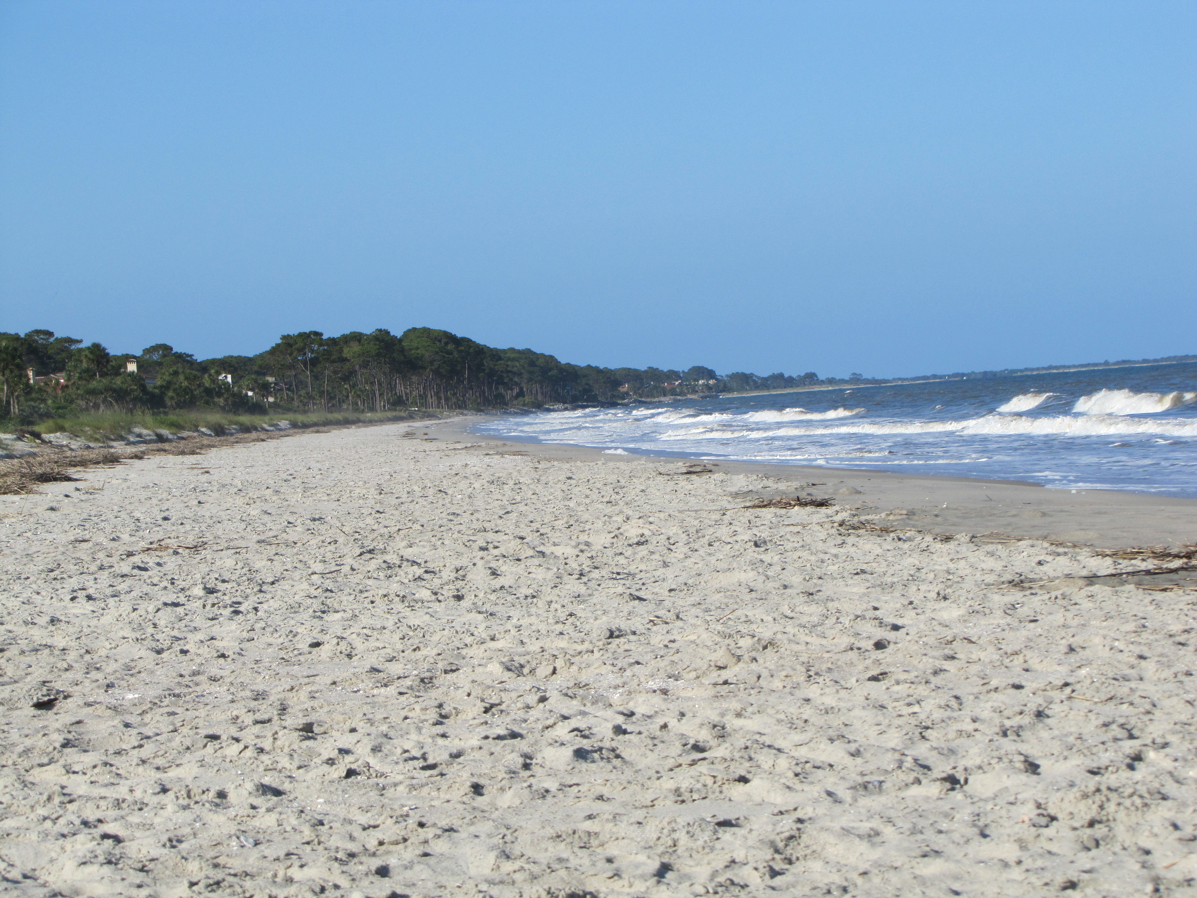 photograph of beach scene
