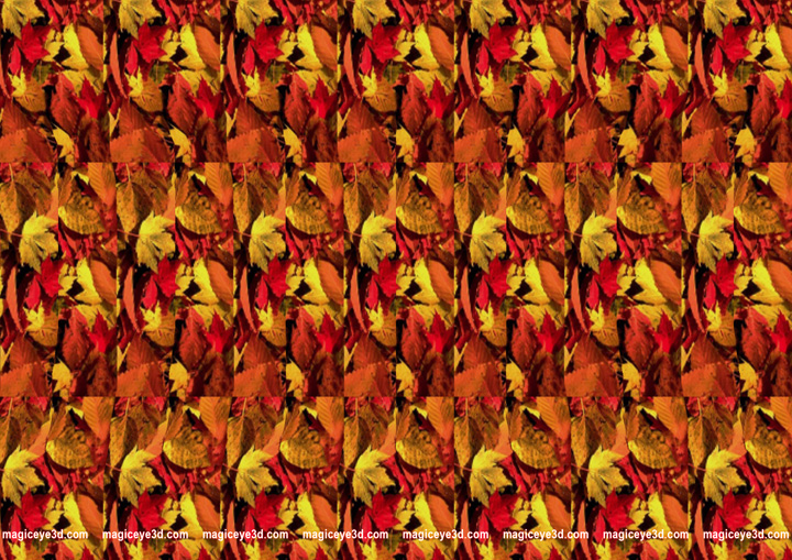 picture of autmn leaves with hidden stereogram of a three dimensional heart