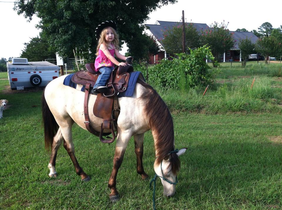 child riding small buckskin horse