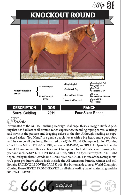 horse sale ad